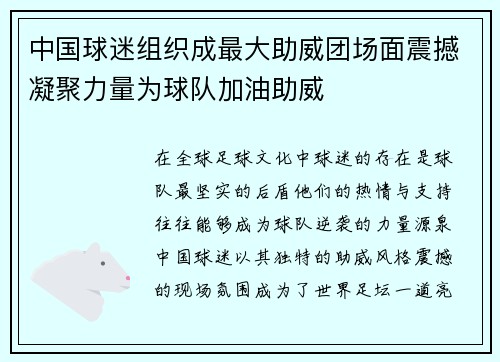 中国球迷组织成最大助威团场面震撼凝聚力量为球队加油助威